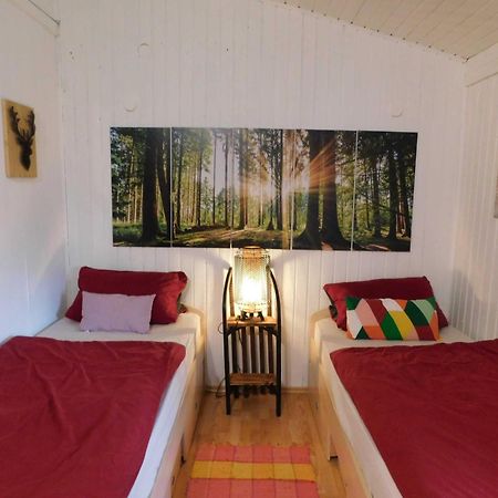 Ferienhaus Bussard Gammelsbach المظهر الخارجي الصورة